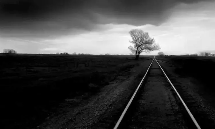 The White Birch - "The Fall"