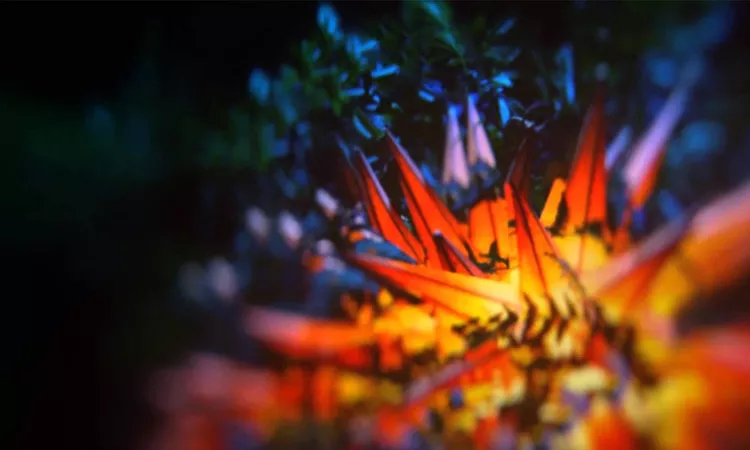 Darkstar - Hold Me Down (Late Night Tales: Jon Hopkins)
