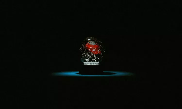 DARKSIDE - "Graucha Max"