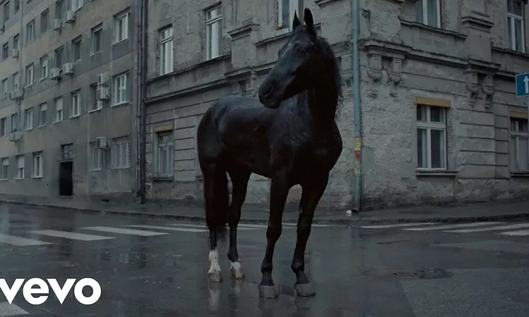 Arlo Parks - Weightless (Official Video)
