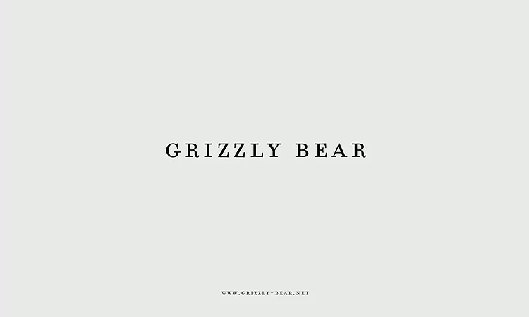 Grizzly Bear - Sleeping Ute