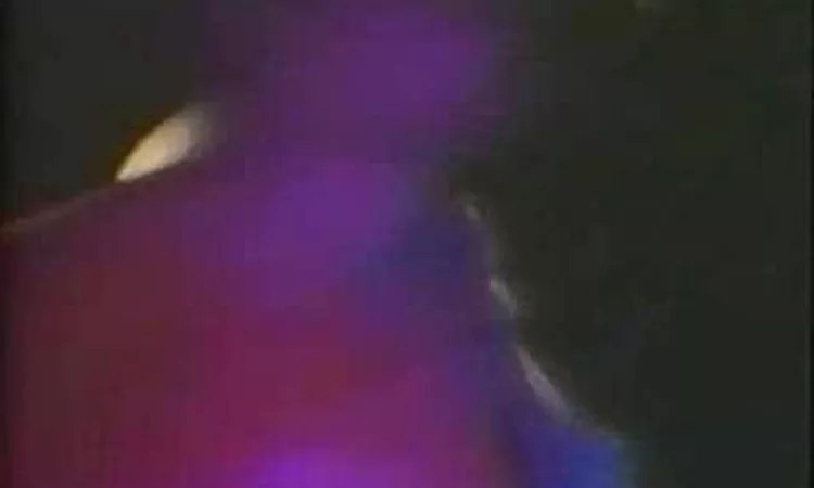 Big Black - The Model