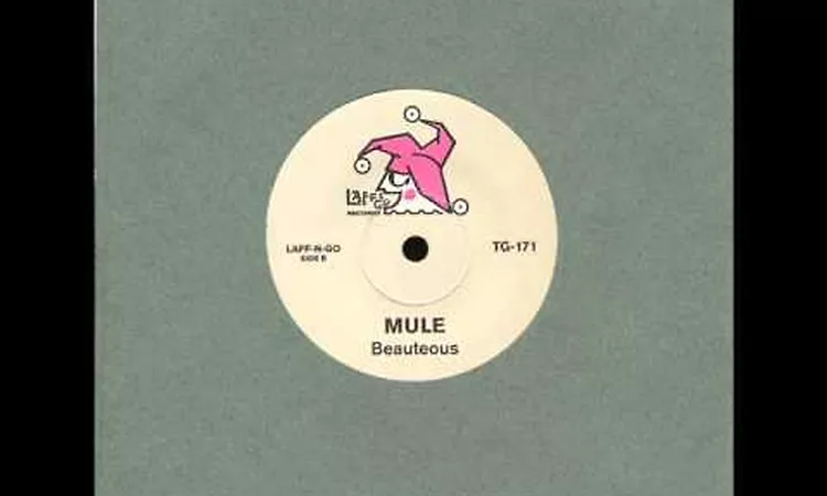 mule - beauteous