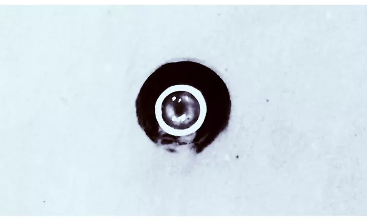 Simon Fisher Turner and Edmund de Waal - Breaking Emptiness (Official Video)