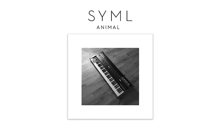SYML - "Animal" [Official Audio]
