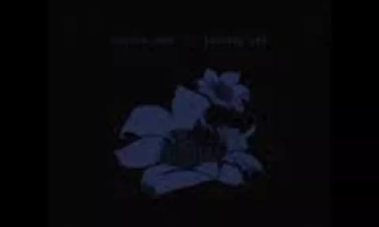 Bright Eyes - I Belive In Symmetry