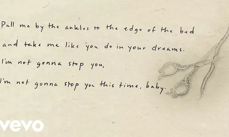 Lucy Dacus - Ankles (Lyric Video)