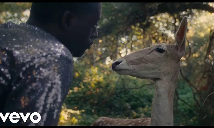 Michael Kiwanuka - Floating Parade (Official Video)