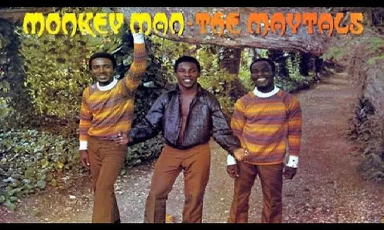 The Maytals ~ Monkey Man (Live with lyrics/c.c.)