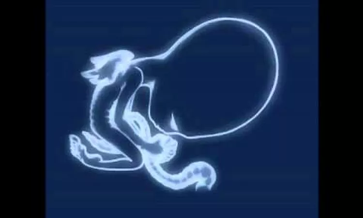 Sigur R?s - ?g?tis Byrjun (Full album backwards)