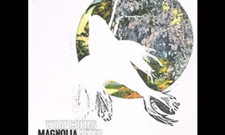 The Dark Don't Hide It | Magnolia Electric Co | What Comes After The Blues | 2005 ?LP