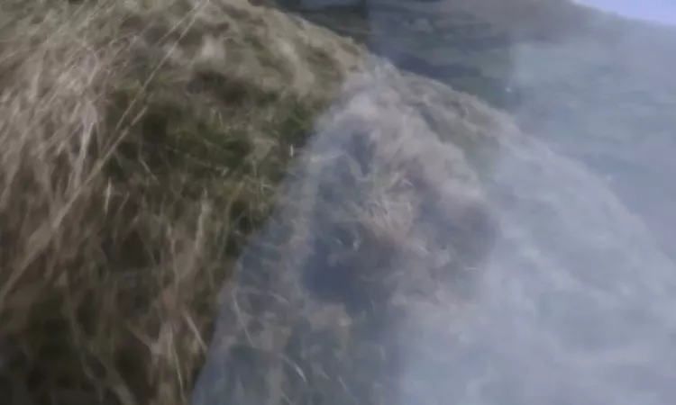Maria Somerville - Trip (Official Visualiser)