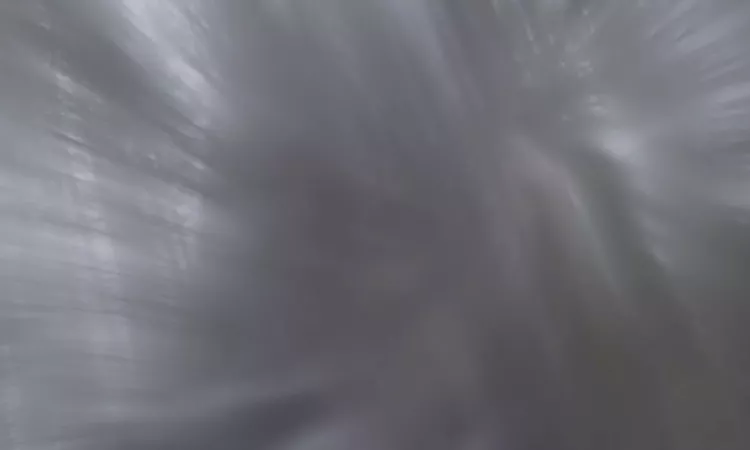 Maria Somerville - Violet (Official Visualiser)