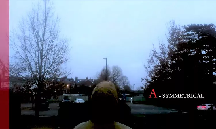 Rozi Plain - Symmetrical (Lyric Video)