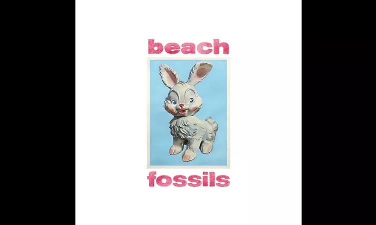 Beach Fossils - Bunny (Full Album / 2023)