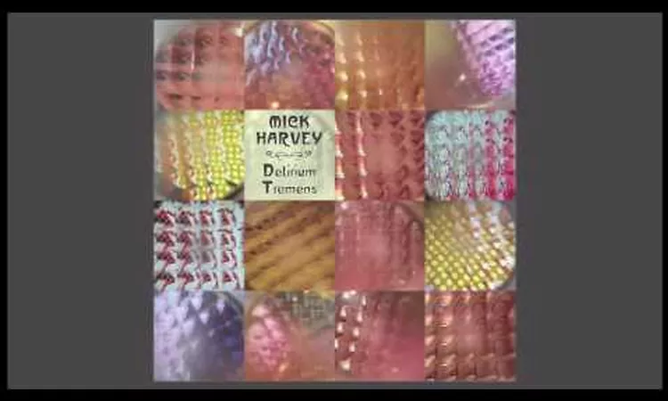 Mick Harvey - The Man With The Cabbage Head (L?homme a? Te?te De Chou) (Official Audio)