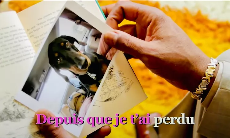 O? est ma t?te? - Pink Martini | Official Music Video - Second Place Video Contest Winner