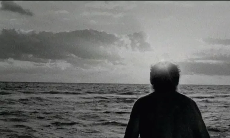 Iron and Wine - Lion's Mane (OFFICIAL VIDEO)