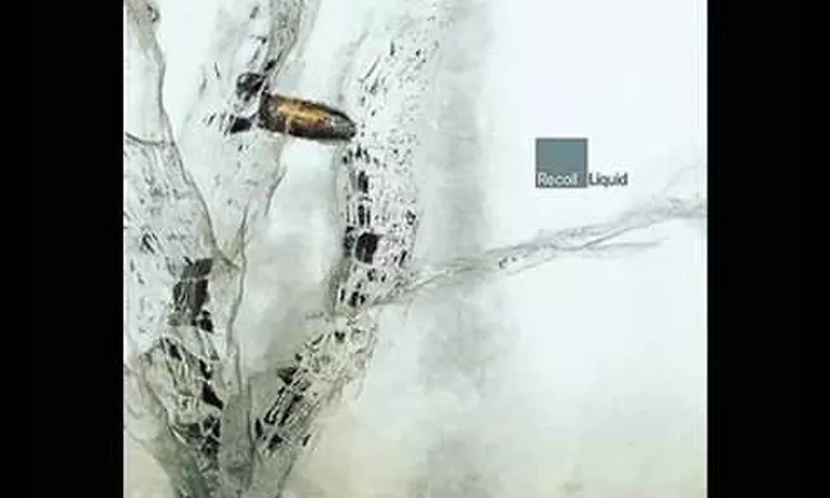 Recoil - Want