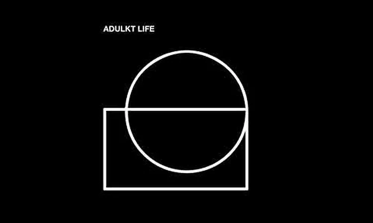 Adulkt Life - Taking Hits