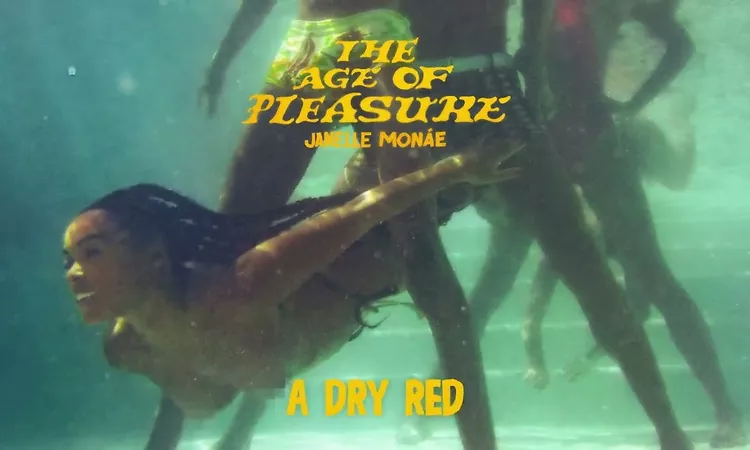 Janelle Mon?e - A Dry Red [Official Audio]