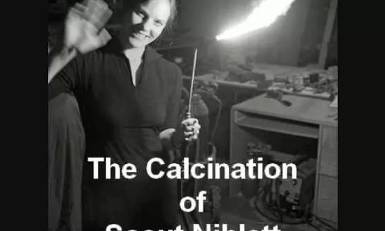 The Calcination of Scout Niblett
