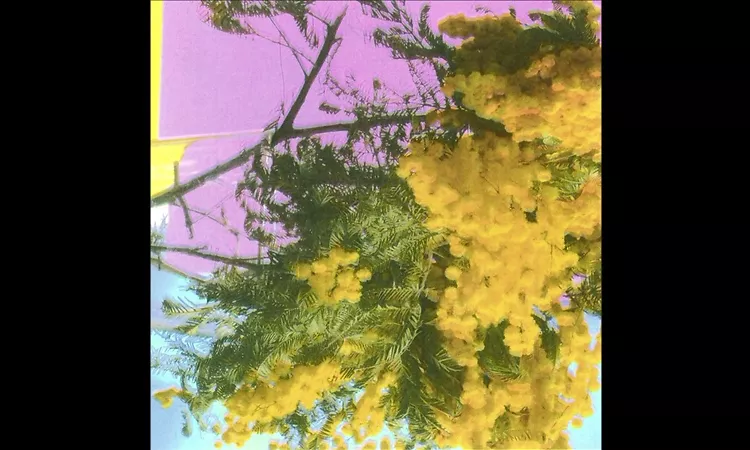 Four Tet - Into Dust (Still Falling) (Extended Mix)