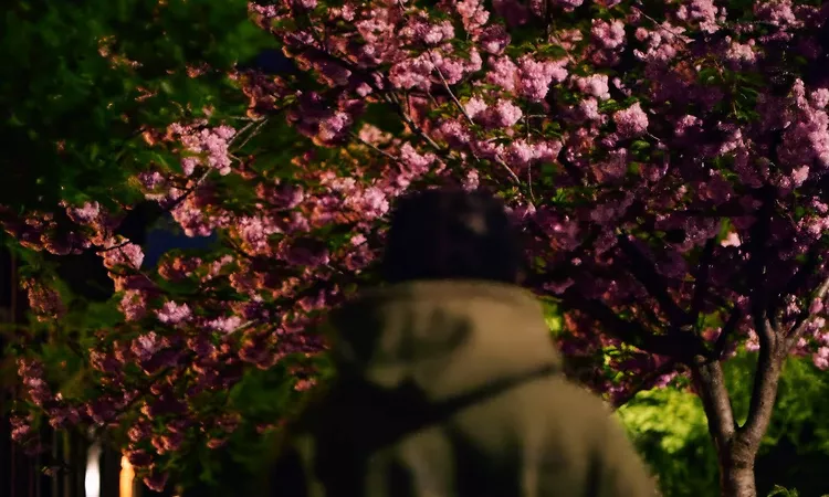 billy woods "Born Alone" [OFFICIAL VIDEO]