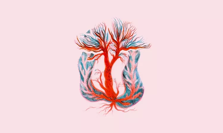 NOAH VANDEN ABEELE - Phoenix (Official Audio)
