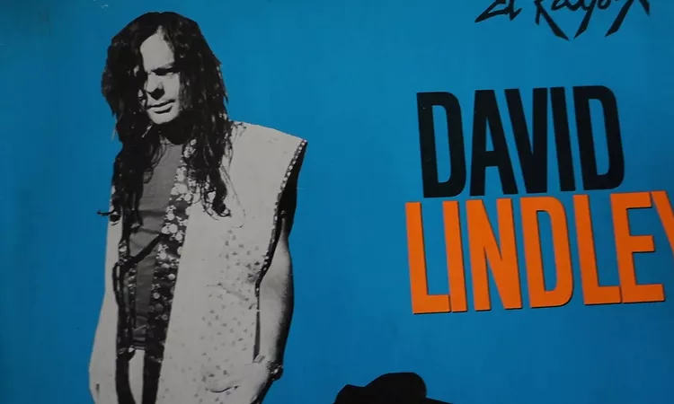 David Lindley ??  - Mercury Blues -Vinyl El Rayo X LP Germany ?? 1981