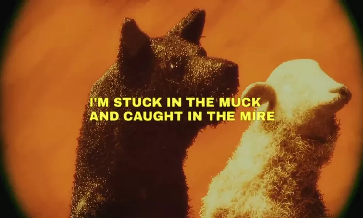 Kings of Leon - All the Little Sheep (Visualizer)