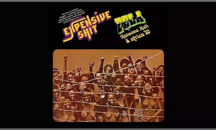 Fela Kuti - Water No Get Enemy
