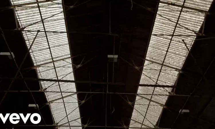 Chase & Status - Say The Word (Visualiser) ft. Clementine Douglas