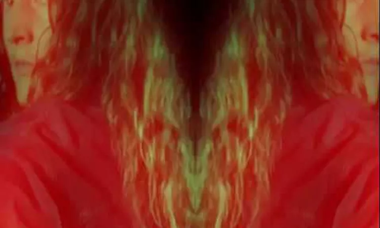 Planningtorock  'Transome'