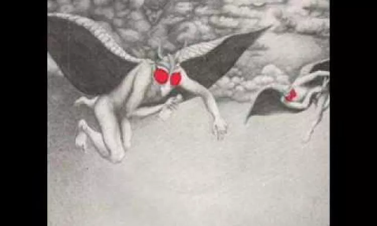 Mothmen-does it matter Irene.wmv