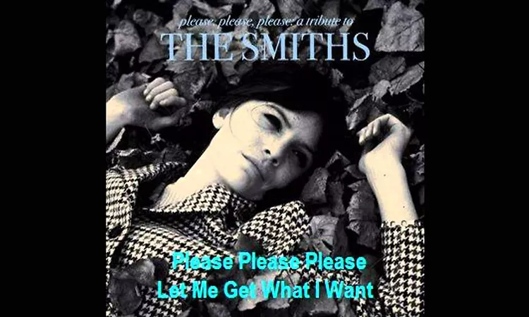 William Fitzsimmons ~ Please Please Please Let Me Get What I Want