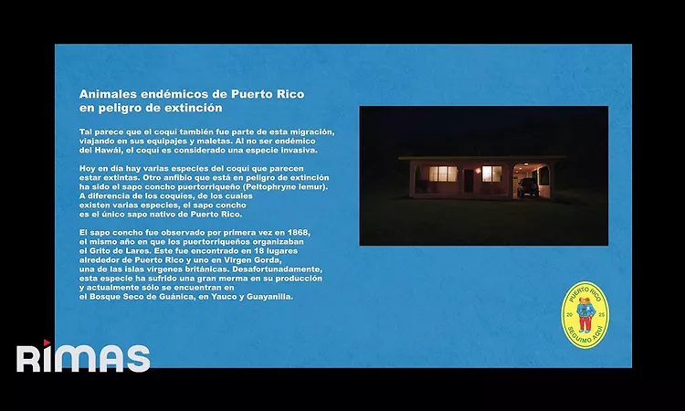 BAD BUNNY - LO QUE LE PAS? A HAWAii (Visualizer) | DeB? TiRAR M?S FOToS