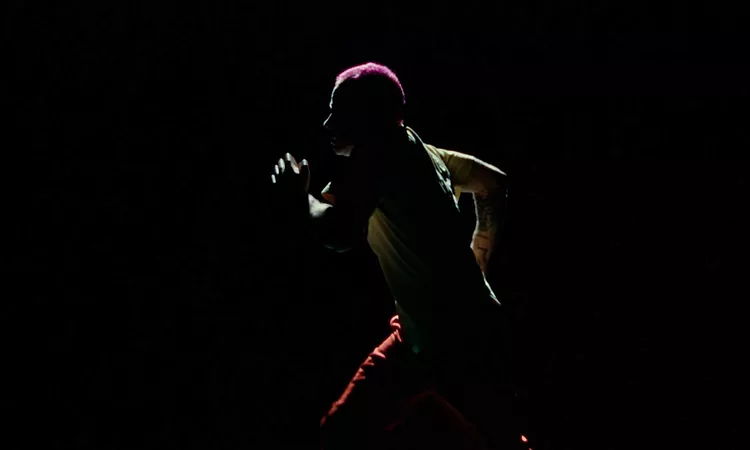Flea - A Plea (Official Music Video)