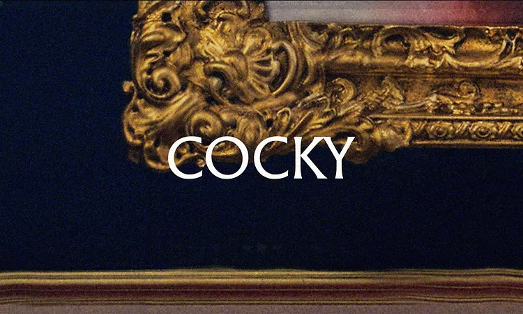  Robbie Williams - Cocky (Official Lyric Video)