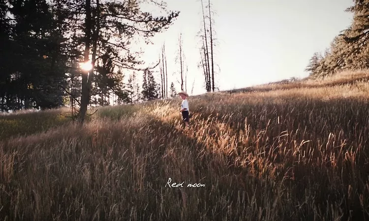 Tom Misch - Red Moon (Official Lyric Video)