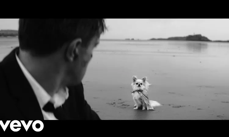 Phoebe Bridgers - Savior Complex (Official Video)