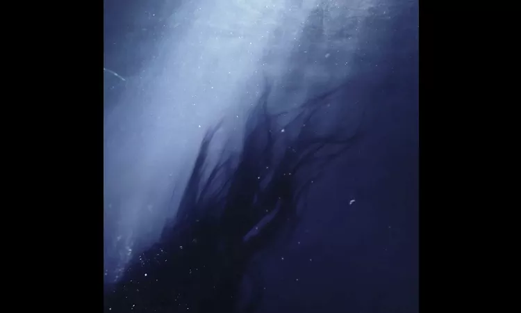Danny L Harle - Azimuth (feat. Caroline Polachek)