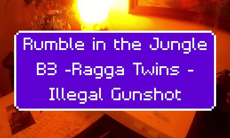 Rumble in the Jungle - B3 ? Ragga Twins - Illegal Gunshot