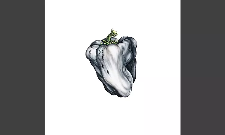 The Grobe