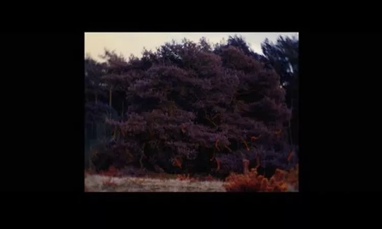 Whispering Sons - Hollow (official video)