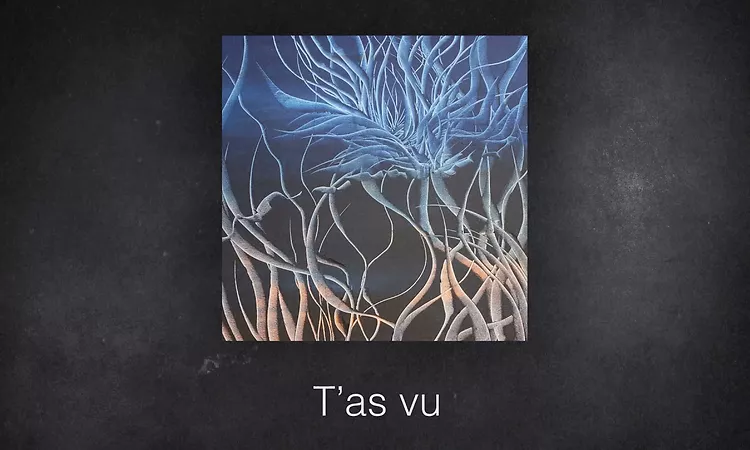 Zaz - Comme tu voudras (Lyrics video)