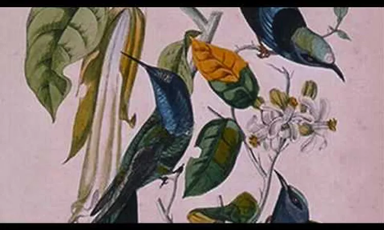 Susumu Yokota - Gekkoh