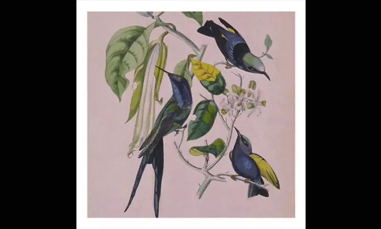 Susumu Yokota Genshi