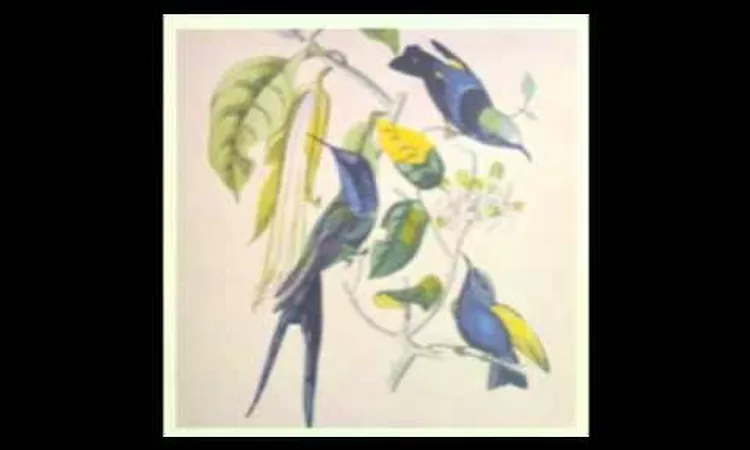 Susumu Yokota - Hisen