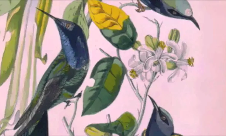 Susumu Yokota - Kodomotachi